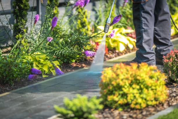 Best Post-Construction Pressure Washing  in Fellsmere, FL